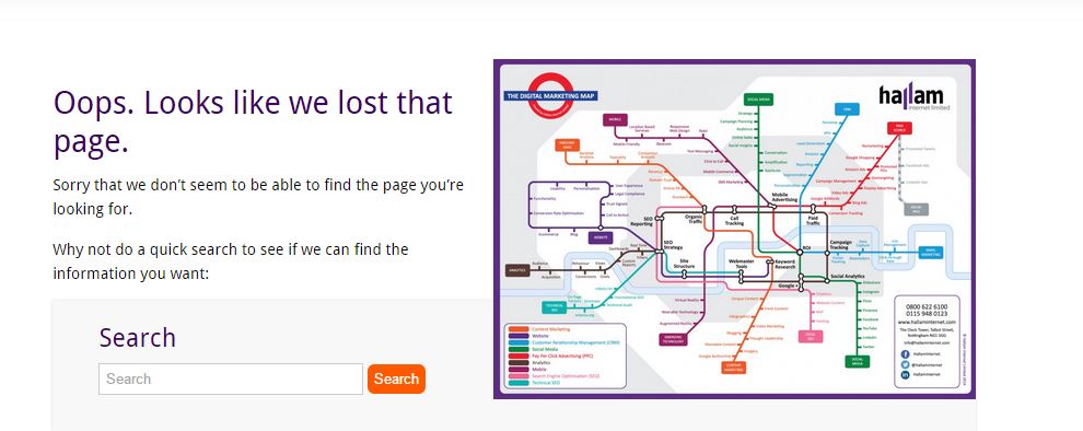 Website Search Function on Hallam 404 page 