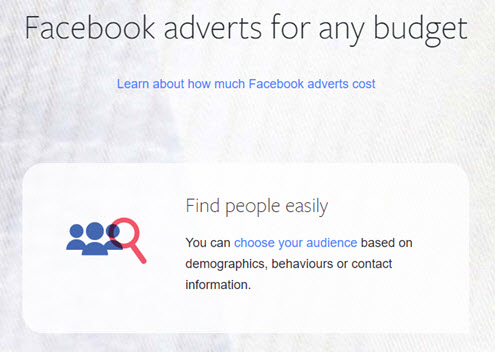 Google Analytics Demographic data - Facebook adverts