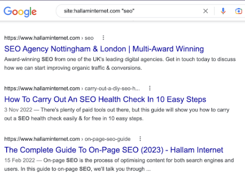 a site: search for the keyword 'SEO'