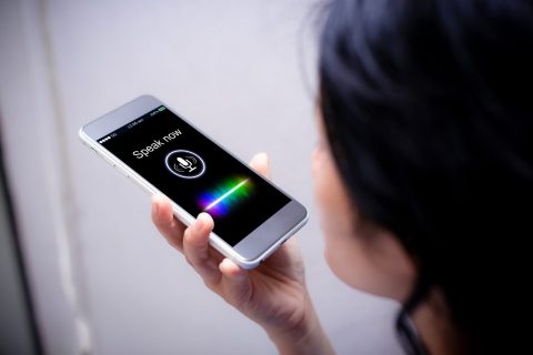 accessibility voice search