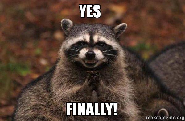 A picture of a raccoon with the quote 'Yes, Finally'