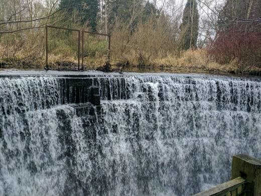 Rouken Glen Park Waterfalls