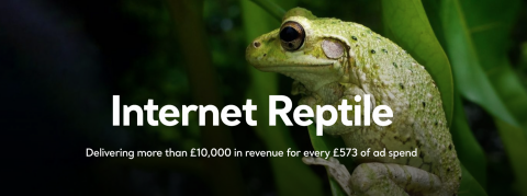 Internet Reptile case. study header