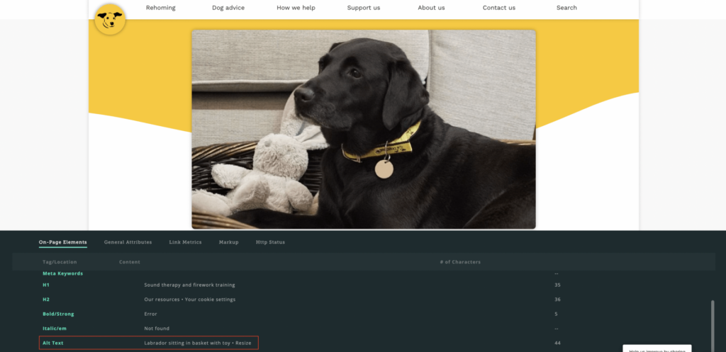 screenshot of alt text on dogs trust website