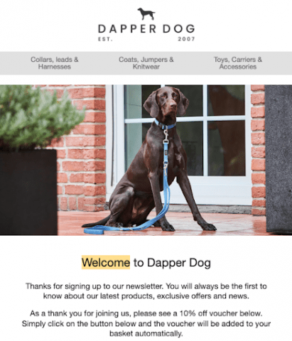 a newsletter sign-up page on a website for the brand 'Dapper Dog' 